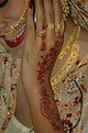 Picture Title - Kina, Henna, Hennè, Alheña, Hennastrauch