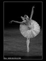 Picture Title - "Swan lake" ballet