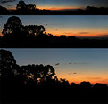 Picture Title - Sunset Pan