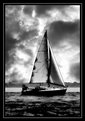 Picture Title - Sail with me, 