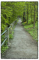 Picture Title - Pathway
