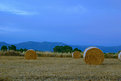 Picture Title - Sheaves (again...)