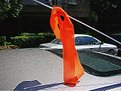 Picture Title - Orange ribbon 2
