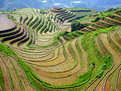 Picture Title - Dragon's Backbone Rice Terraces