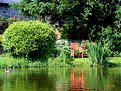 Picture Title - Reflections