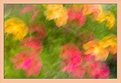 Picture Title - Blurred foliage