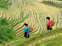 Picture Title - Yao Women