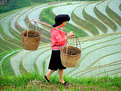 Picture Title - A Yao Woman