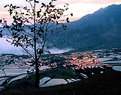 Picture Title - Yuanyang Terraced Fieds at down