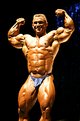 Picture Title - Lee Priest 