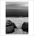 Picture Title - 3 elements bw