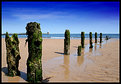 Picture Title - Blyth Beach