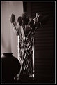 Picture Title - Tulips in vase