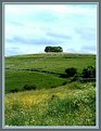 Picture Title - On top of the hill