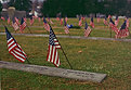 Picture Title - "...these honored dead..." 