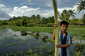 Picture Title - the Village Guardian