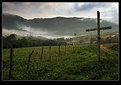 Picture Title - A Cruz e a Serra