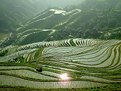 Picture Title - Terraces in the Morning....