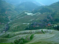 Picture Title - Terraces in the Afternoon....
