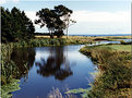 Picture Title - Tranquil Inlet