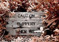 Picture Title - Slippery When Wet