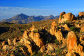 Picture Title - Grapevine Hills