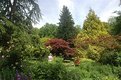 Picture Title - Morton Manor garden