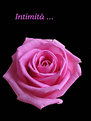 Picture Title - Intimità