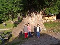 Picture Title - Tree and childern