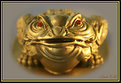 Picture Title - Golden Toad.