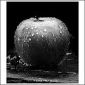Picture Title - apple in the rain