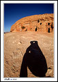 Picture Title - I & Madain Saleh 