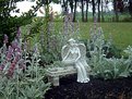 Picture Title - Garden Angel