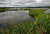 Baddeck River Mouth