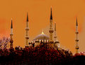 Picture Title - redly mosque