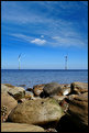 Picture Title - Windmills