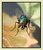Fly