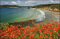 Picture Title - Stewart Island