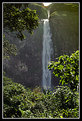 Picture Title - cachoeira Casca d'Anta