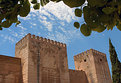 Picture Title - Alcazaba