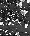 Picture Title - metal lace