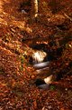 Picture Title - flowing fall