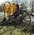 Amish Accident 11-15-2001