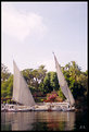 Picture Title - The nile view 2