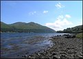 Picture Title - Summer in Scotland