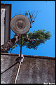 Picture Title - Basta alzare gli occhi... ;)