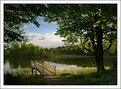 Picture Title - Summer time
