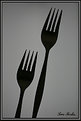 Picture Title - Two Forks.