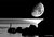 Moon & Fisherman