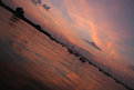 Picture Title - ANGLE VIEW